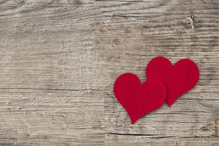 Campanha Pró-Vida 2023: Priorizando a Saúde Cardiovascular